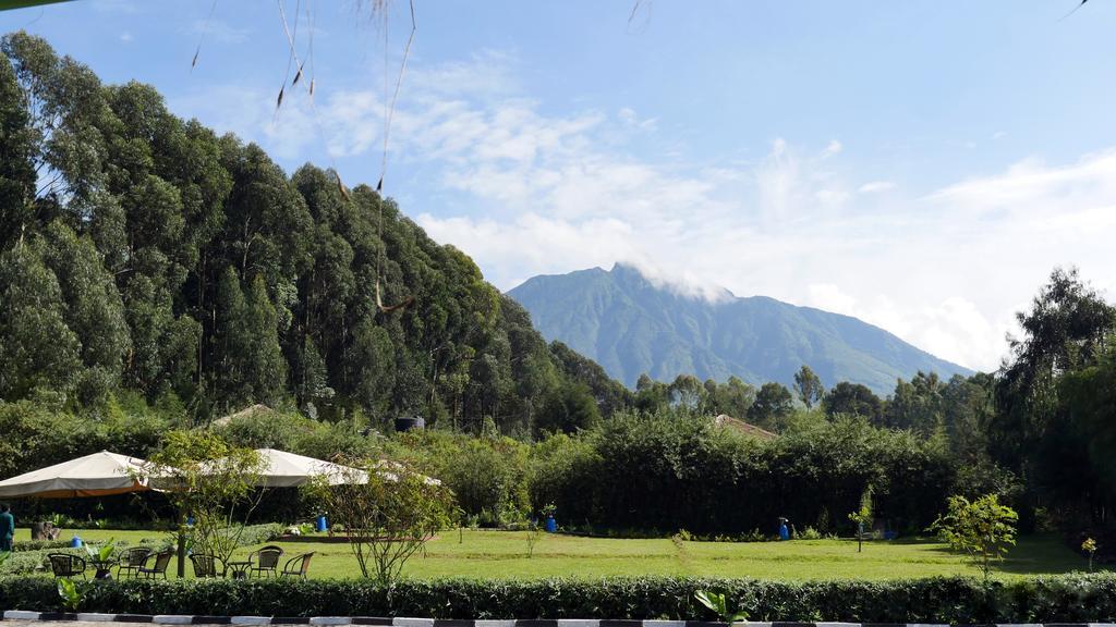 Le Bambou Gorilla Lodge Kinigi Esterno foto