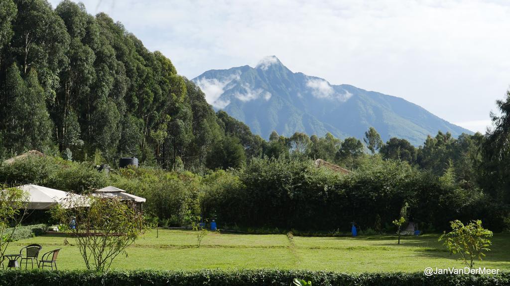 Le Bambou Gorilla Lodge Kinigi Esterno foto